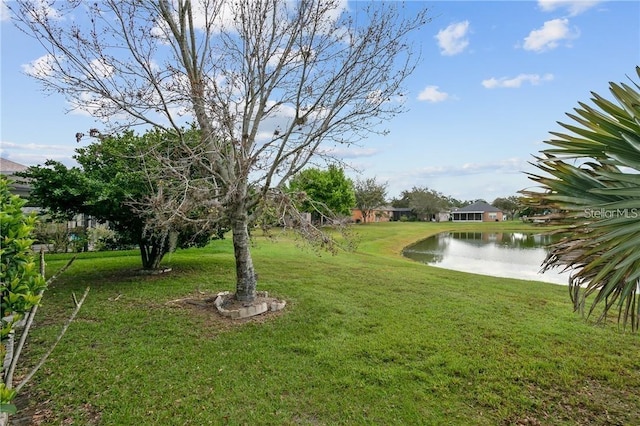10414 Andover Point Cir, Orlando, FL 32825 - view of yard with a water view