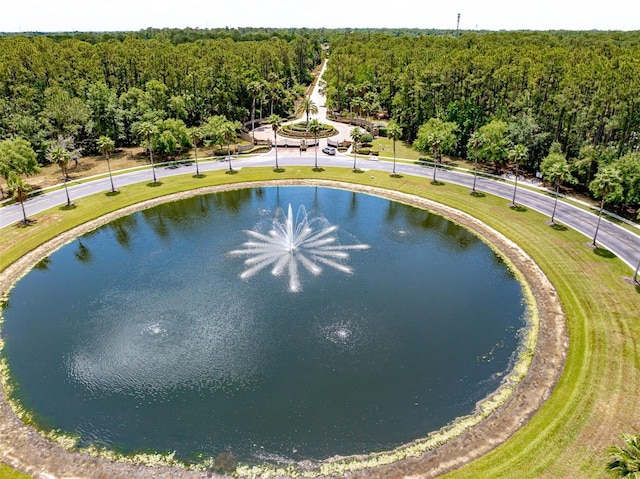 drone / aerial view featuring a water view and a view of trees