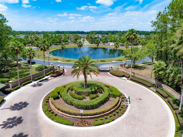 view of community featuring a water view and curved driveway