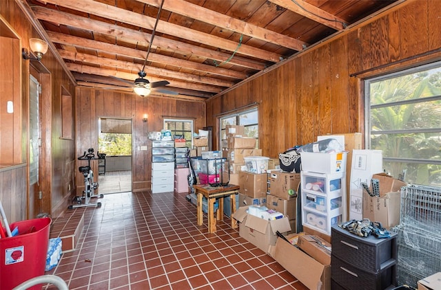storage with a ceiling fan