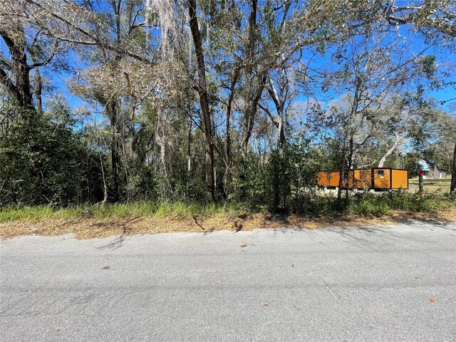10691 SE 130th Ln, Ocklawaha, FL 32179 - photo 5