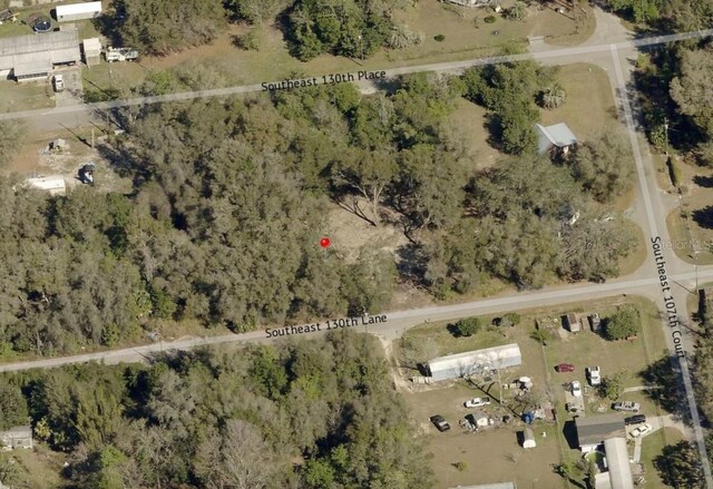 10691 SE 130th Ln, Ocklawaha, FL 32179 - photo 10