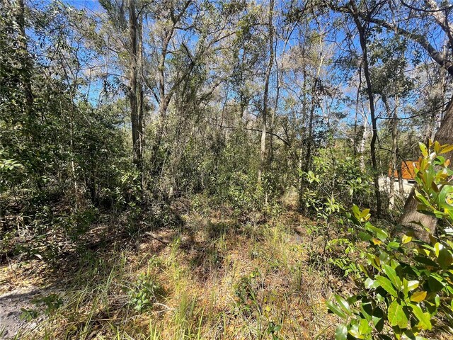 10691 SE 130th Ln, Ocklawaha, FL 32179 - photo 12