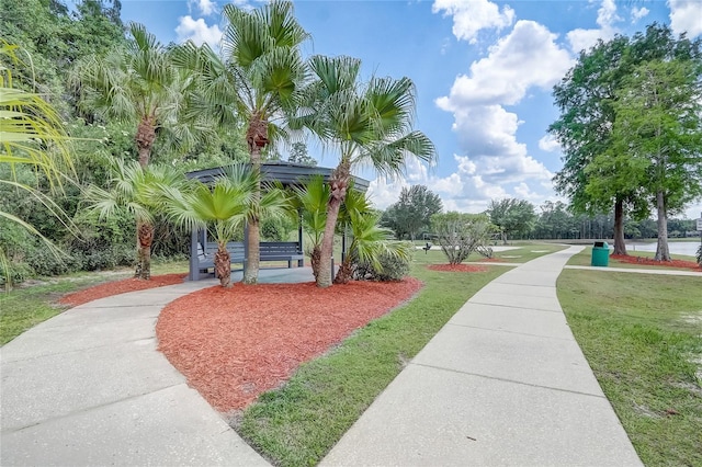 1041 Park Ridge Cir, Kissimmee, FL 34746 - view of property's community featuring a lawn