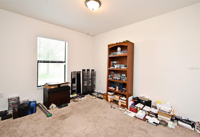 35734 Rose Moss Ave, Leesburg, FL 34788 - misc room with carpet