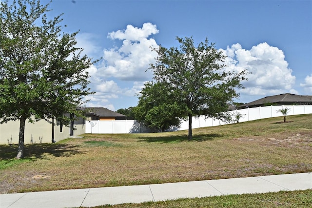 35734 Rose Moss Ave, Leesburg, FL 34788 - view of yard featuring fence