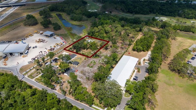 559 Laura Rd, Lakeland, FL 33815 - photo 5