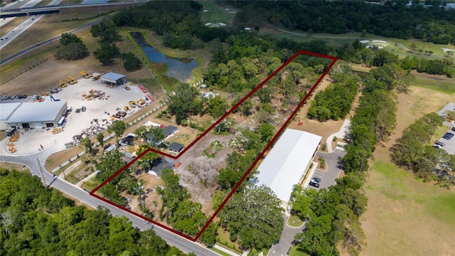 559 Laura Rd, Lakeland, FL 33815 - photo 6