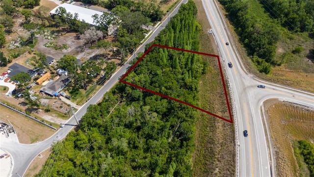559 Laura Rd, Lakeland, FL 33815 - photo 31