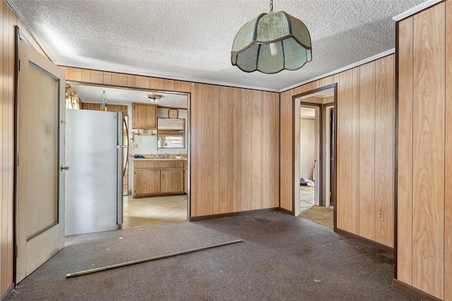 interior space with carpet floors, a textured ceiling, wood walls, and a sink
