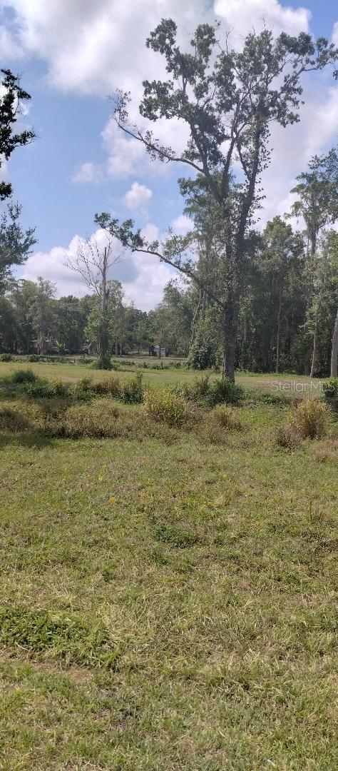 9315 9th Ave, Orlando, FL 32824 - photo 24