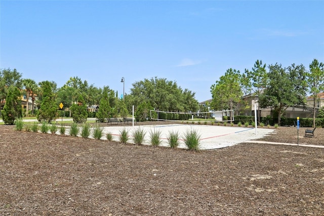 7554 Oak Spring Ln, Davenport, FL 33837 - view of property's community with volleyball court
