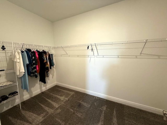 4828 Abbeywood Aly, Winter Garden, FL 34787 - photo 28