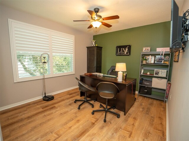 11742 Chateaubriand Ave, Orlando, FL 32836 - photo 23