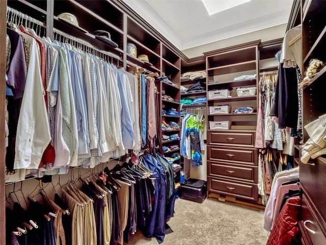 walk in closet featuring carpet