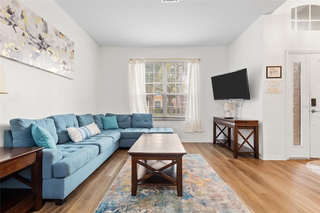 living room featuring baseboards and wood finished floors
