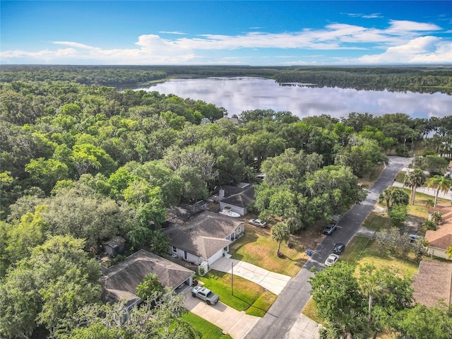 birds eye view of property with a water view and a forest view