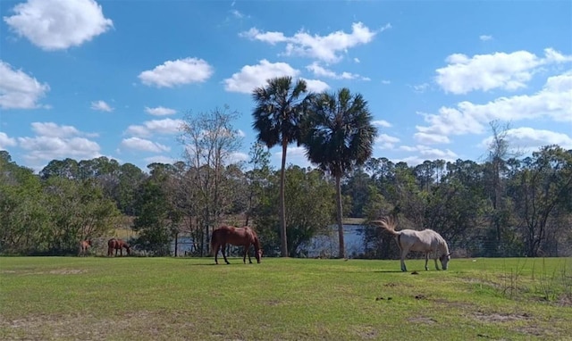view of home's community featuring a yard and a rural view