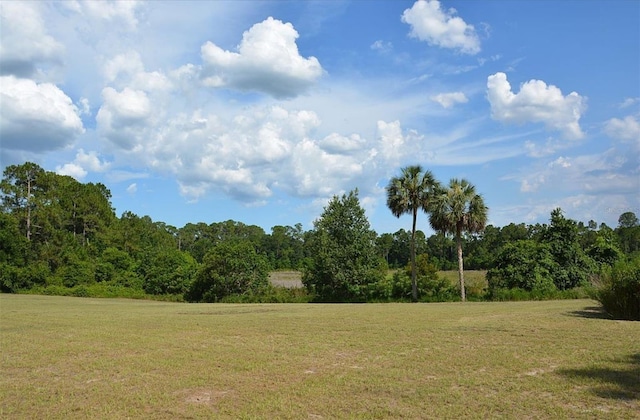 view of landscape with a wooded view