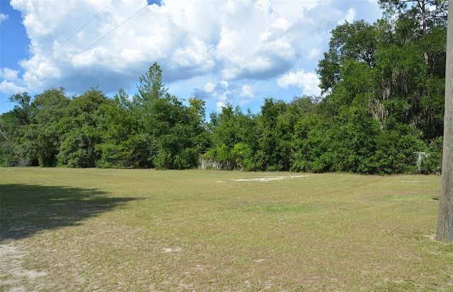 view of yard with a wooded view