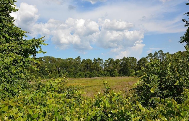 view of nature with a forest view
