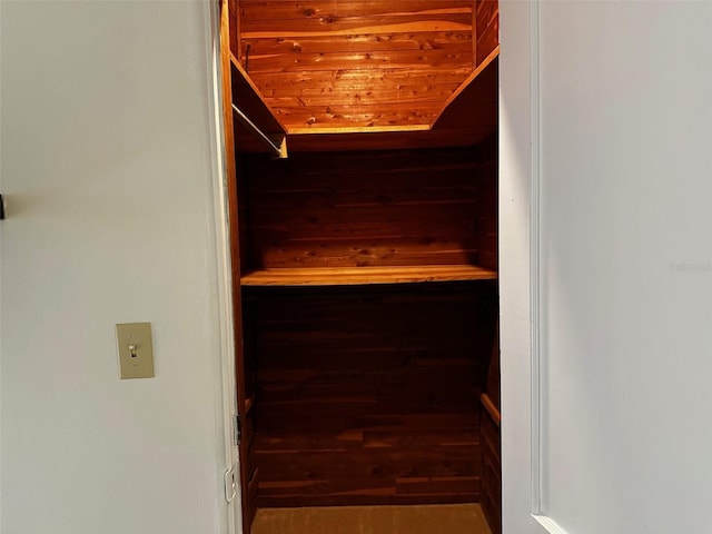 view of walk in closet