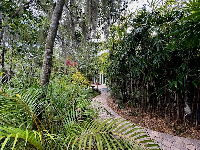 view of property's community