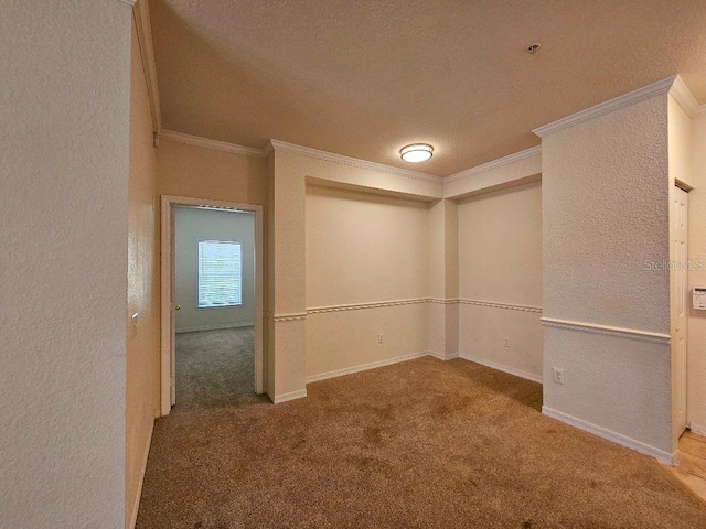 3577 Conroy Rd Unit 331, Orlando, FL 32839 - unfurnished room with carpet floors, a textured ceiling, a textured wall, and crown molding
