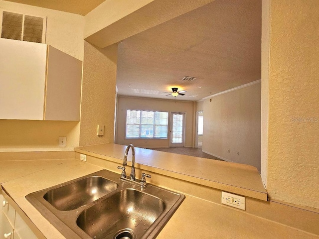 3577 Conroy Rd Unit 331, Orlando, FL 32839 - kitchen featuring visible vents, a sink, and a textured wall