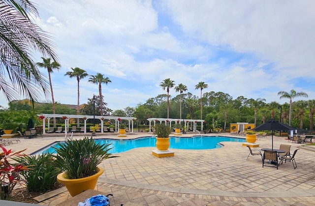 3577 Conroy Rd Unit 331, Orlando, FL 32839 - community pool featuring a patio area and a pergola