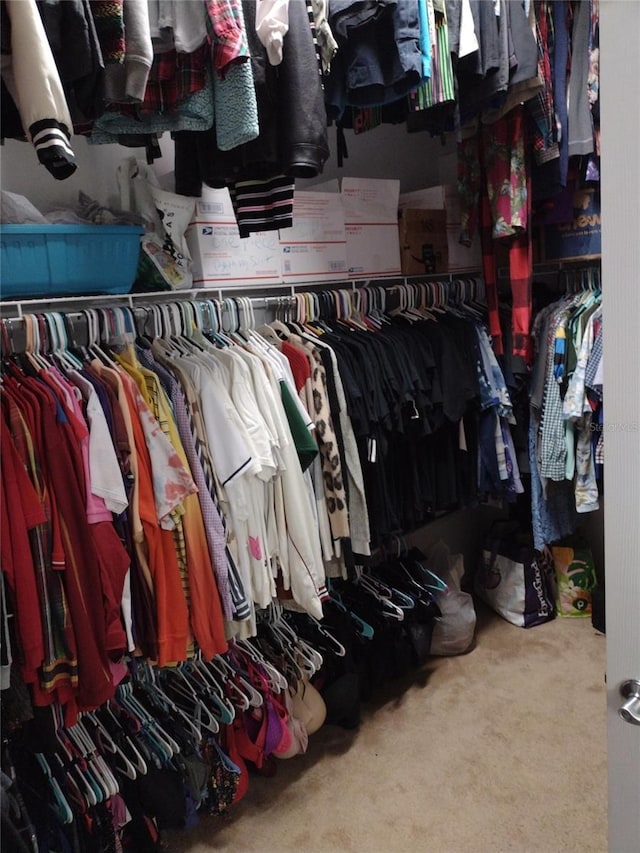 walk in closet featuring carpet floors