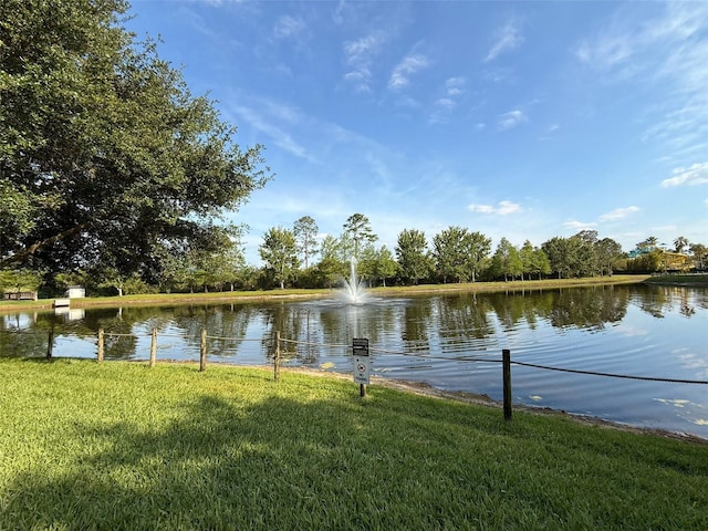 14501 Grove Resort Ave Unit 2231, Winter Garden, FL 34787 - photo 25
