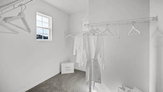 spacious closet featuring carpet floors