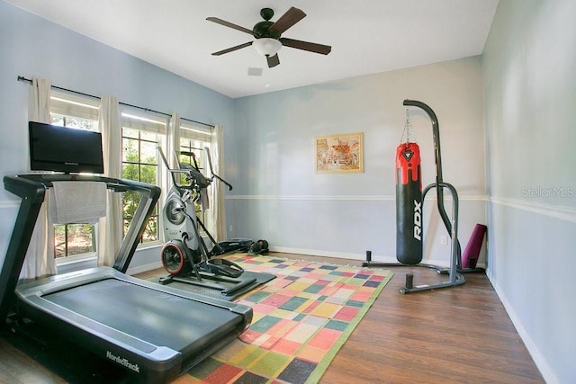 4219 Lillian Hall Ln, Orlando, FL 32812 - exercise area with a ceiling fan, baseboards, and wood finished floors