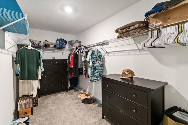 5347 Travertine St, Mount Dora, FL 32757 - walk in closet with light carpet