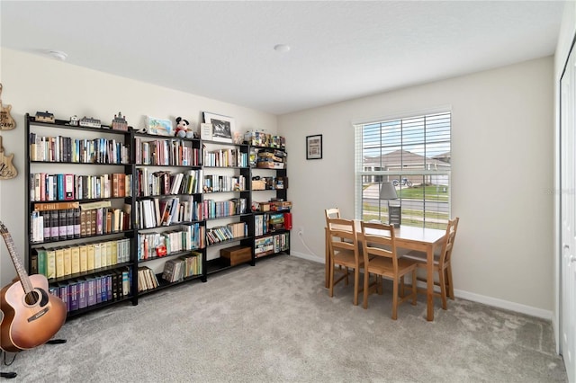 5347 Travertine St, Mount Dora, FL 32757 - sitting room with carpet floors and baseboards