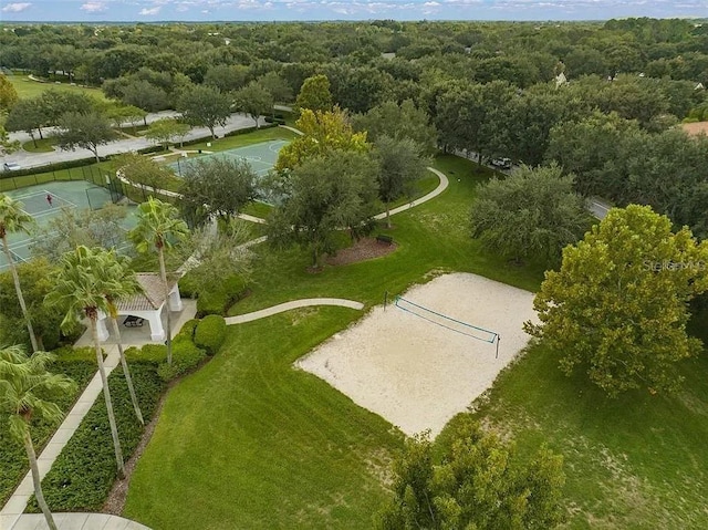 11818 Gilmerton Dr, Riverview, FL 33579 - drone / aerial view with a forest view