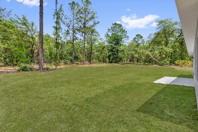 6581 N Bedstrow Blvd, Dunnellon, FL 34434 - photo 32