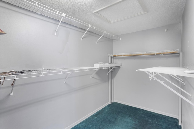 3137 Timucua Cir, Orlando, FL 32837 - spacious closet featuring dark colored carpet and attic access