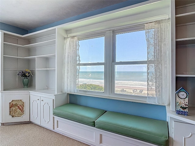 unfurnished room featuring light carpet