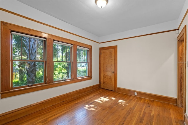 806 E Amelia St, Orlando, FL 32803 - empty room featuring baseboards and hardwood / wood-style flooring
