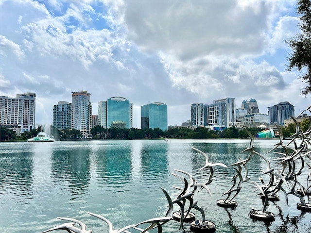 806 E Amelia St, Orlando, FL 32803 - view of water feature featuring a view of city
