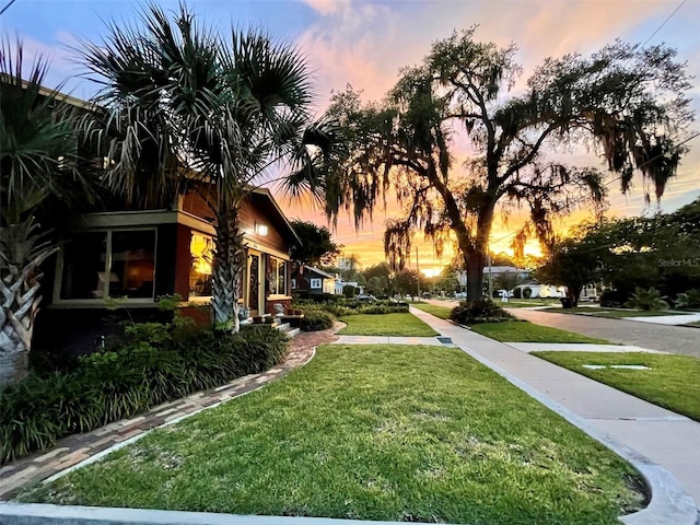 806 E Amelia St, Orlando, FL 32803 - yard at dusk featuring a lawn