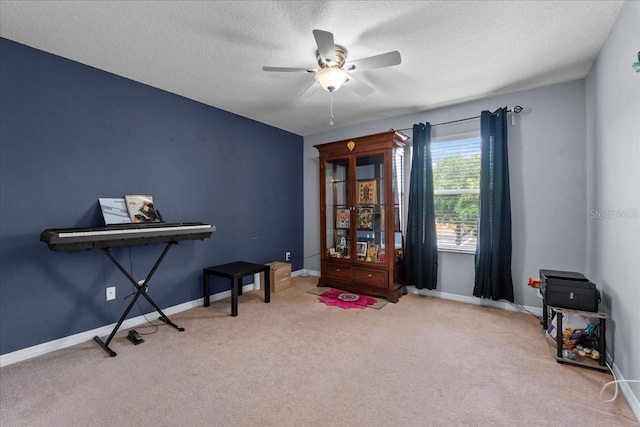 9009 Savannah Julip Ln, Orlando, FL 32832 - misc room featuring ceiling fan, carpet, baseboards, and a textured ceiling
