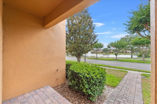 9009 Savannah Julip Ln, Orlando, FL 32832 - view of yard featuring a water view