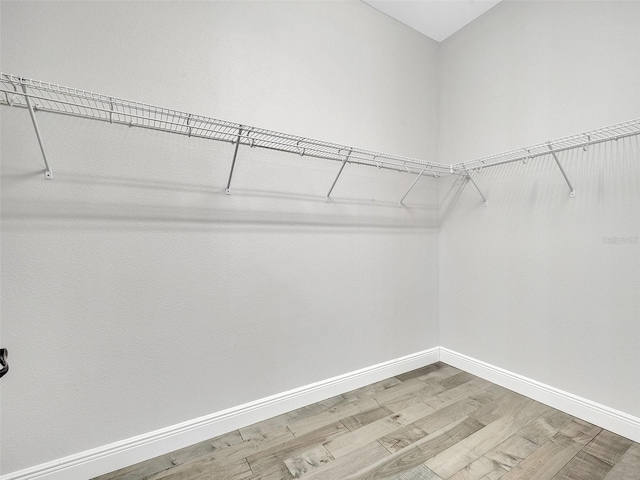 walk in closet featuring wood finished floors