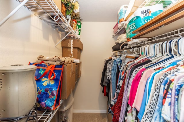 spacious closet with carpet