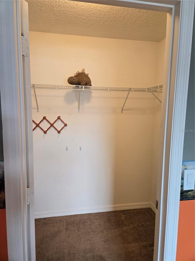 119 Stewart Lake Loop, Groveland, FL 34736 - walk in closet featuring carpet