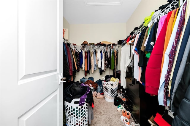 2919 Verse St, Kissimmee, FL 34746 - walk in closet with carpet flooring