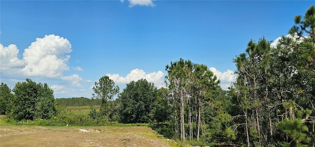 view of local wilderness